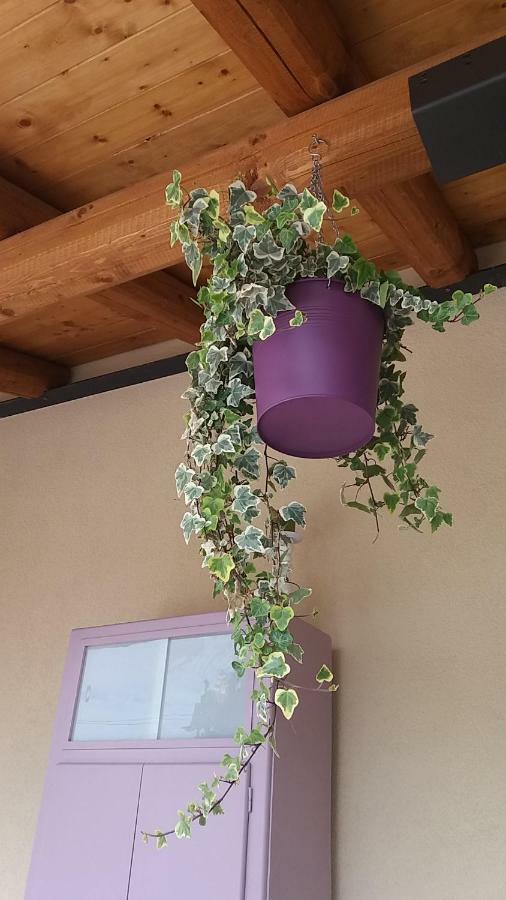 Bed & Breakfast Barbara Borgo Grotta Gigante Exterior photo